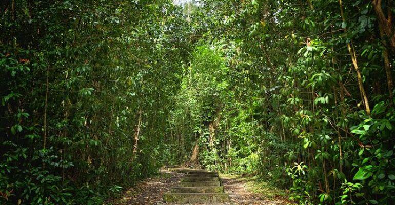 Maui Scenic Rainforest Hiking Adventure