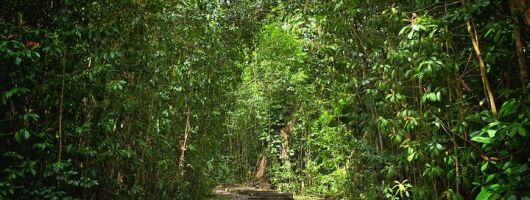 Private East Maui Hiking Experience