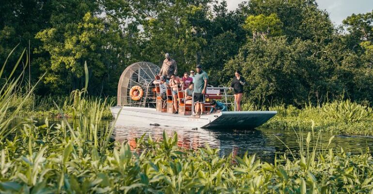 New Orleans Bayou Airboat Wildlife Adventure