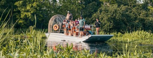 Private New Orleans Airboat Adventure