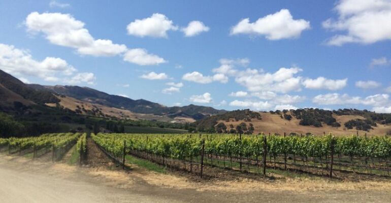 Santa Barbara Wine Country Tour Experience