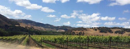  Wine Lovers Tour from Santa Barbara Area