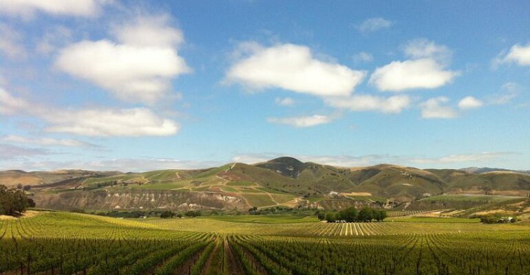 Solvang Wine Tasting and Gourmet Picnic Tour