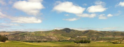 Private Wine Tour from the Santa Ynez Valley