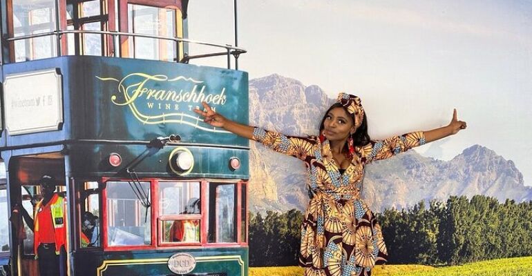 Cape Town Wine Regions Luxury Tour