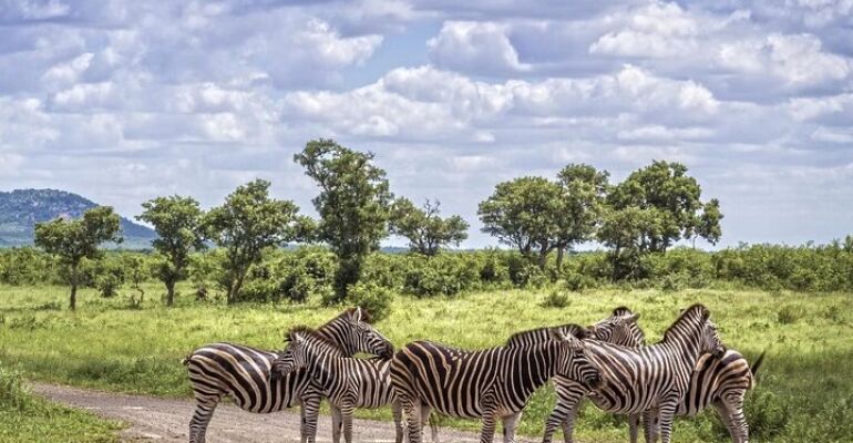 Durban Safari and Zulu Cultural Experience
