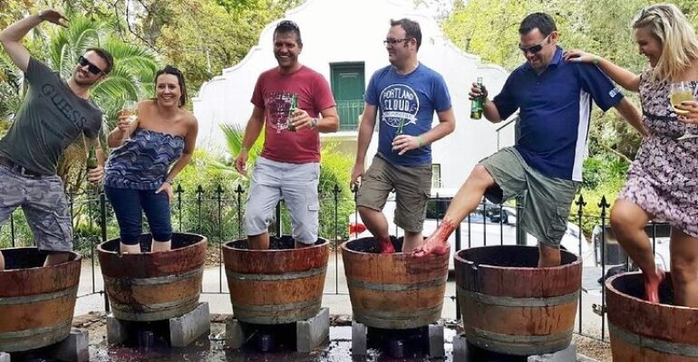 Stellenbosch Full-Day Wine Tour Experience