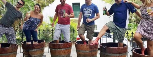 Full Day Wine Tour in Stellenbosch with Afrivista