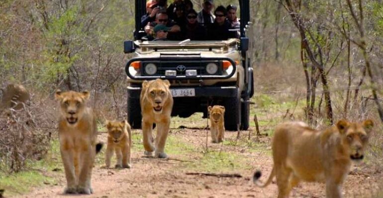 Durban Hluhluwe-iMfolozi Park Safari Adventure