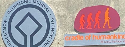 Cradle of Humankind Express Tour from Johannesburg 