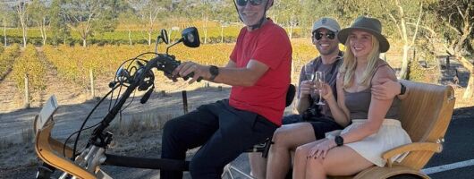 eTukTuk Adventure from Oxenberry Farm in McLaren Vale