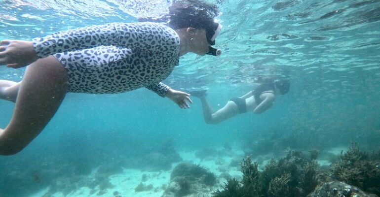 Port Stephens Guided Snorkel Experience