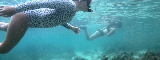 Guided Snorkel Tour