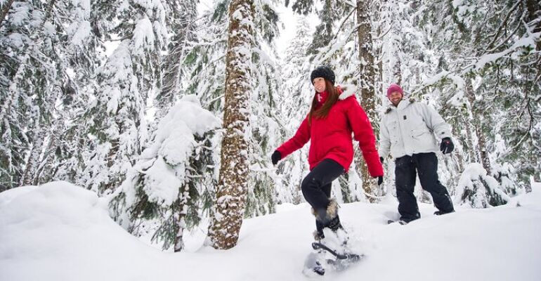 Whistler Medicine Trail Snowshoe Adventure