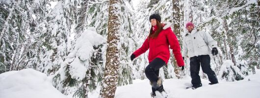 Medicine Trail Snowshoe Tour 