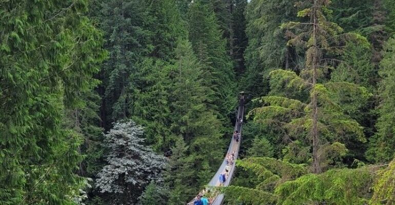 Vancouver Iconic Landmarks Guided Tour Experience