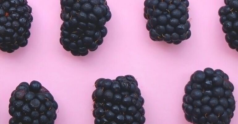 Kelowna Blackberry Harvest Farm Experience