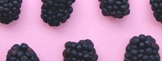 Okanagan Blackberry Fest; Wine Flights & Charcuterie - Kelowna