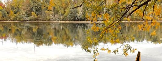 Fall Colours Canoe Tour on the Toronto Islands 