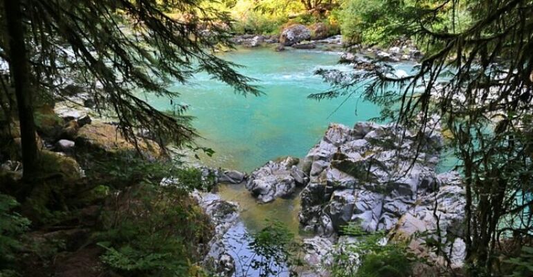 Vancouver Private Nature Adventure Tour