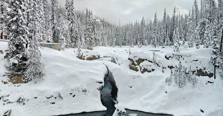 Canadian Rockies Winter Private Tour Experience