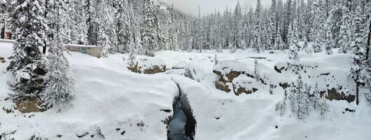 Banff and Yoho Winter Wonderland Private Tour