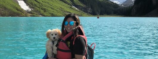 Discover Banff National Park with Dog Friendly Exclusive Tour 