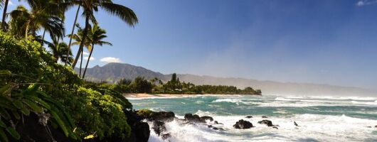 Private 5-hr Off-Road Trip on Oahu’s Wildlife-Rich North Shore