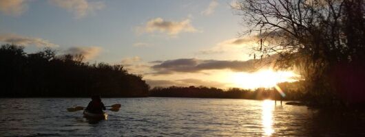 Small Group Sunset Paddle Among Manatees near Orlando