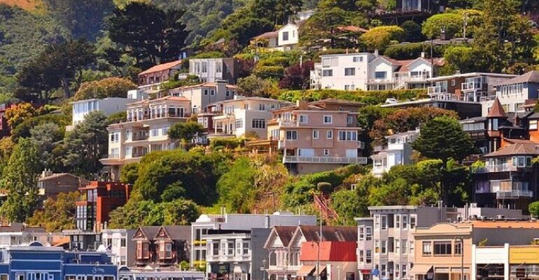 San Francisco Redwoods and Golden Gate Adventure