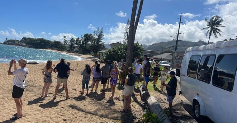 Oahu Scenic Coastal Adventure Tour