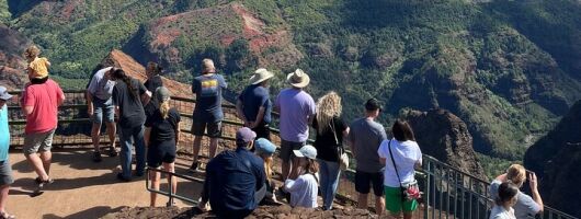 Kauai Full Day Tour with Cruise ships or Kauai Airport Pickup 