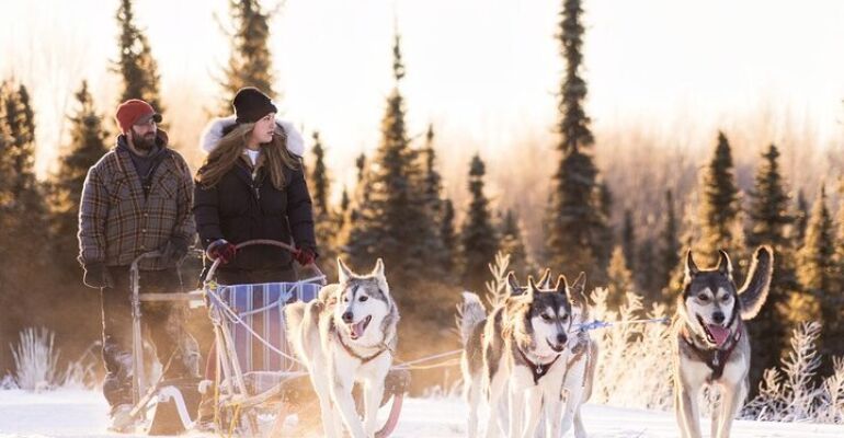 Ester Interactive Dog Sledding Adventure