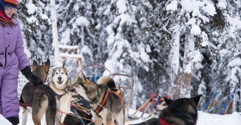 Ester Family-Friendly Mini Dog Sledding Adventure
