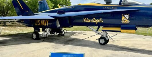 Pensacola Navy, History and Culture Private Tour