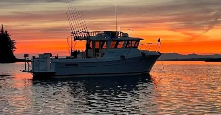 Ketchikan Private Wildlife Boat Tour Adventure