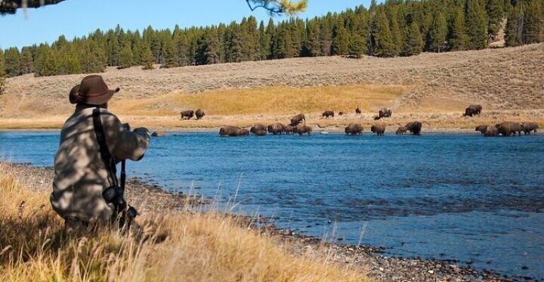 Yellowstone Wildlife Photography Immersion Experience