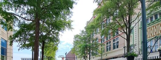 From Ducks to Blues: A Self-Paced Discovery Walk + Museum Access