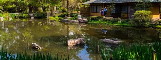 Five Hour Garden Tour