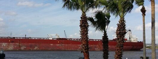 San Jacinto State Park and the Battle of San Jacinto Tour