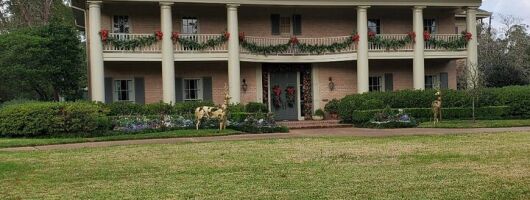 2 Hour December Holiday Lights Tour