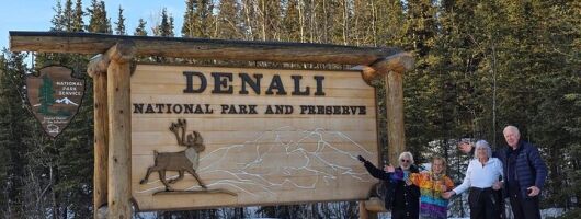 Denali National Park plus Aurora Chase Tour