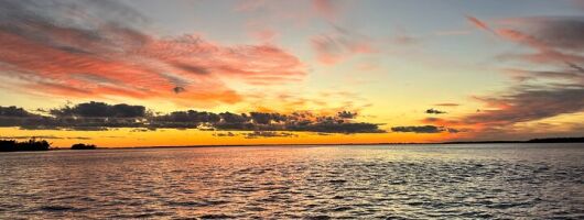 Private Dolphin Watching Sunset Cruise in Cape Coral