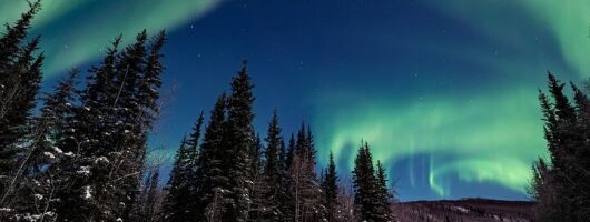 Chena Hot Springs plus Aurora Chase Tour