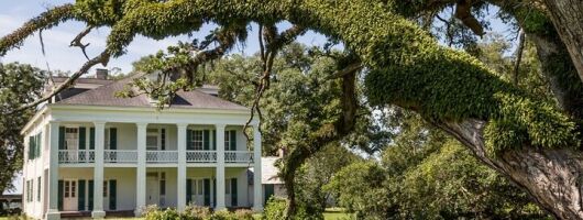 Felicity Plantation Tour