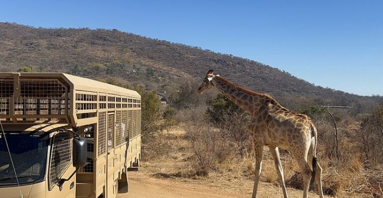 Johannesburg Wildlife and Cultural Experience Tour
