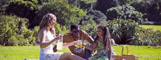 Kirstenbosch Botanical Gardens Guided Tour with Picnic Lunch 