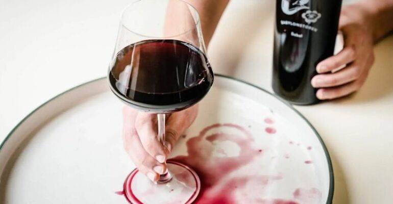 Cape Winelands Full-Day Wine Tour