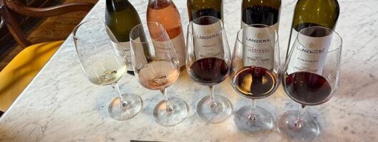 Half Day Winelands Tour with Cheese and Chocolate Pairing