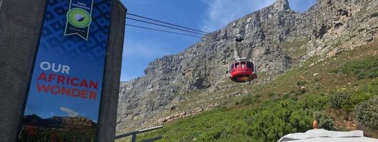 Cape Town Table Mountain, Kirstenbosch, and Constantia Tour